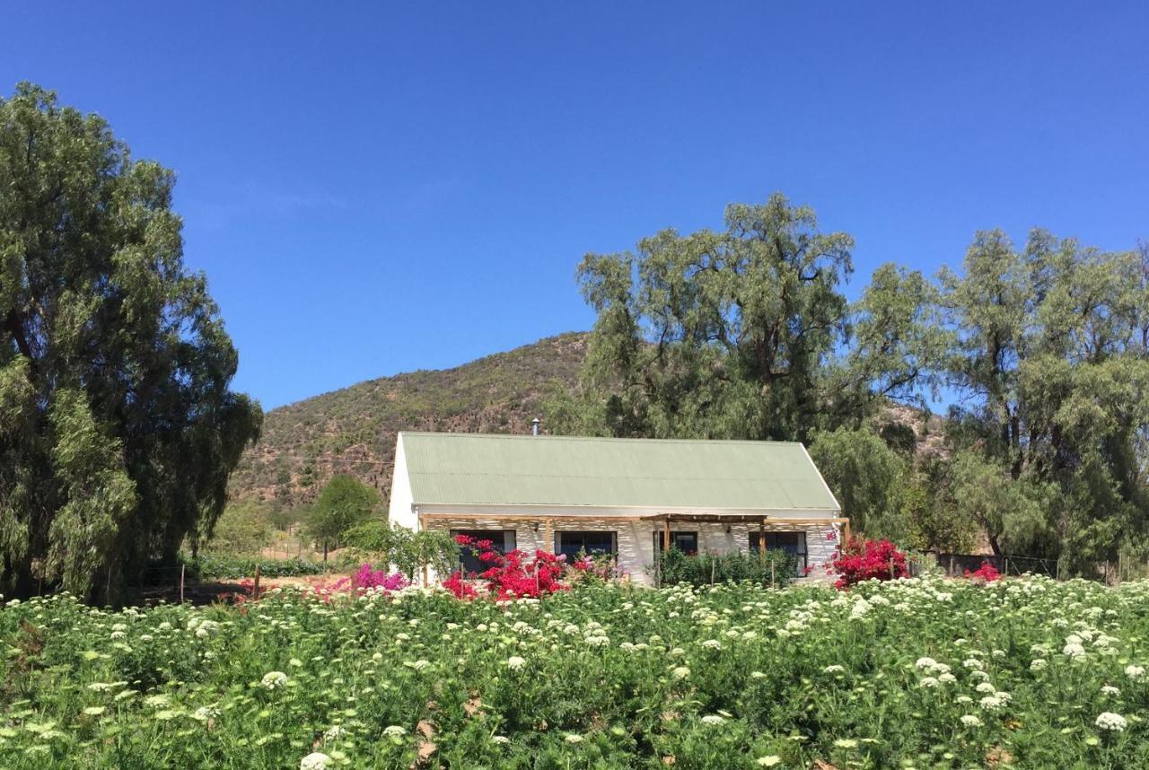 Pepper Tree Cottage De Rust Extérieur photo